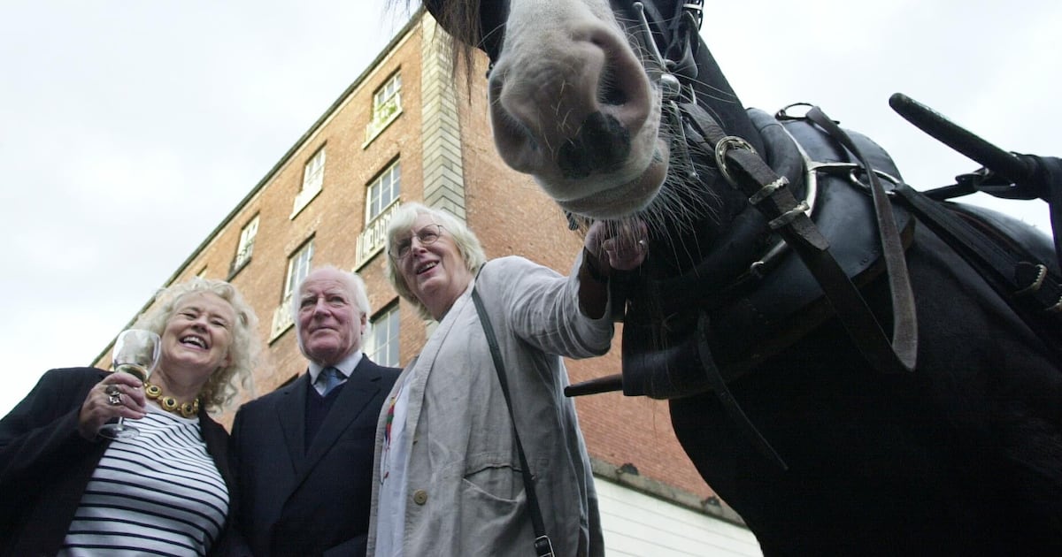 Pedestrian killed in road incident in Carlow named as well-known artist Philippa Bayliss – The Irish Times