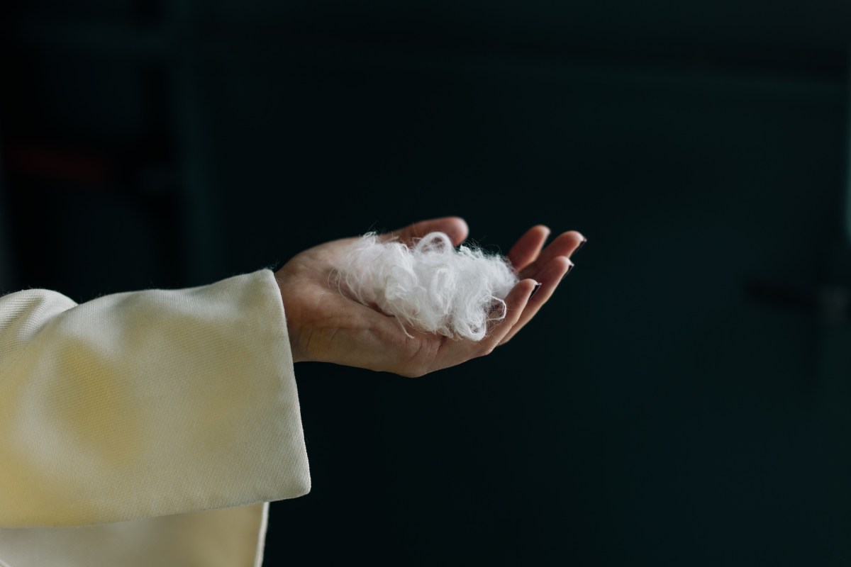A hand holds white fibers.