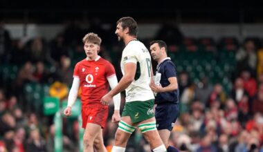 South Africa’s Eben Etzebeth receives 12-week ban for eye gouging against Wales - The Irish Times