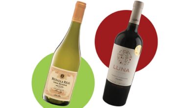 Two Lidl wines from South America to consider for Christmas – The Irish Times