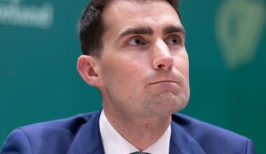 Large extensions to critical infrastructure ‘should be exempted from seeking planning’ – The Irish Times