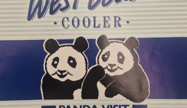 Dublin Zoo ‘distressed’ as panda’s death on return to China linked in report to Irish stay – The Irish Times