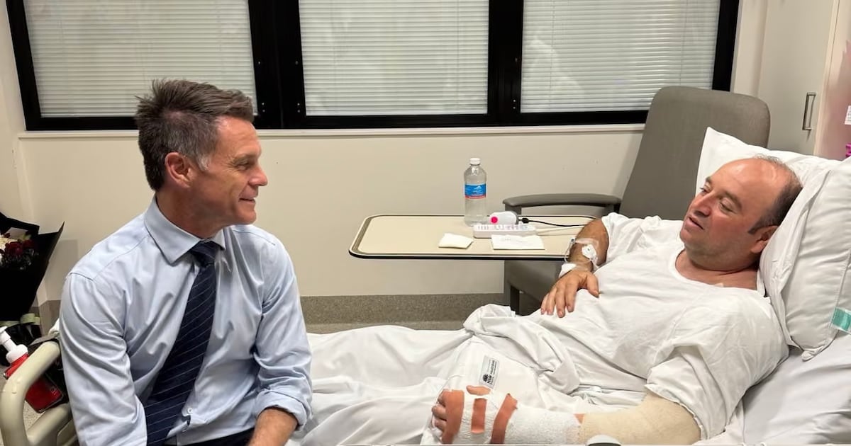 Actions of Bondi Beach hero declared ‘a source of pride for Syria’ – The Irish Times