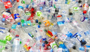 Commission quietly proposes looser EU rules on recycled plastic in beverage bottles – POLITICO