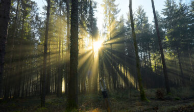 Europe's 2030 environment policy goals slip further out of reach