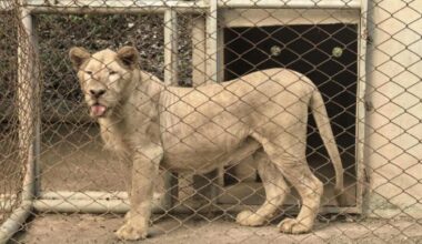 Photo of Chattarin Siradakul