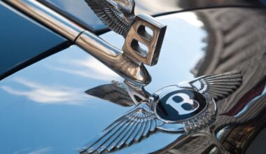 Newlyweds withdraw €120,000 compensation claim after honeymoon photos shown in court – The Irish Times