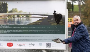 Office of Public Works ‘missing’ 37 artworks from State collection – The Irish Times