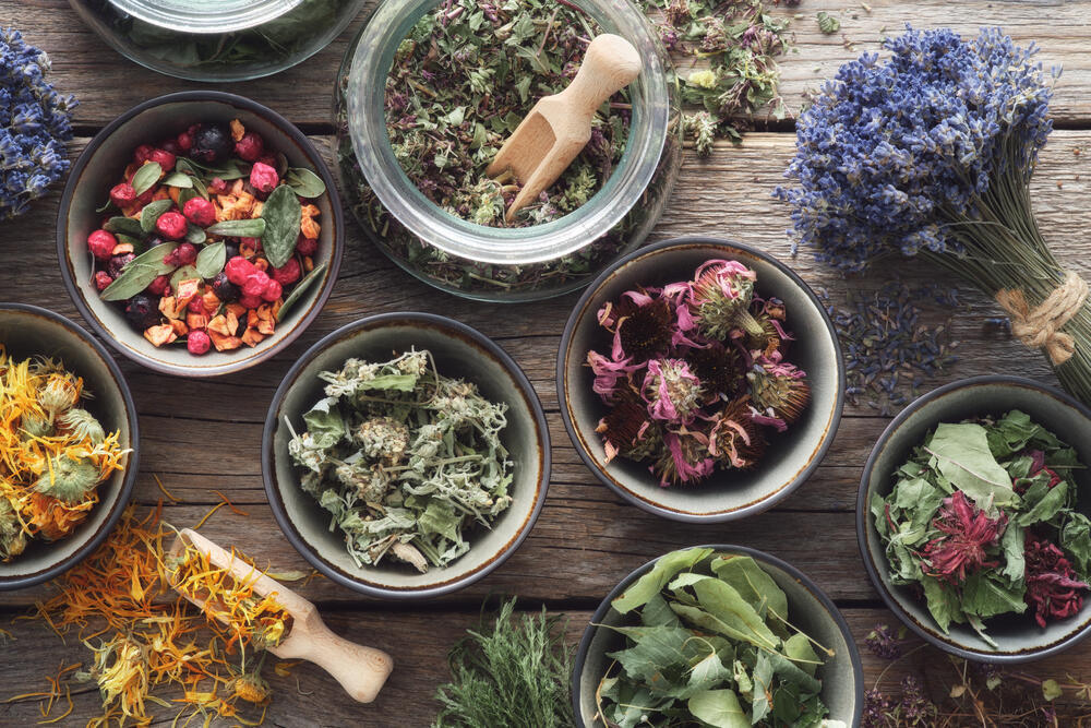 Among the oldest medicines on Earth: Medicinal plants (Photo: Shutterstock) צמחי מרפא