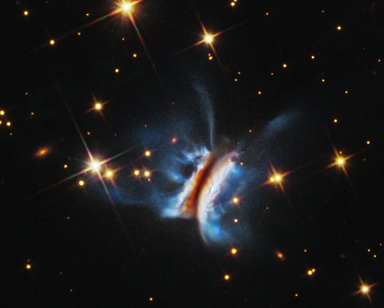 This NASA/ESA Hubble Space Telescope image shows “Dracula’s Chivito”  the largest planet forming disc ever observed (Credit : NASA/ESA)