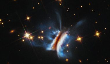 This NASA/ESA Hubble Space Telescope image shows “Dracula’s Chivito”  the largest planet forming disc ever observed (Credit : NASA/ESA)