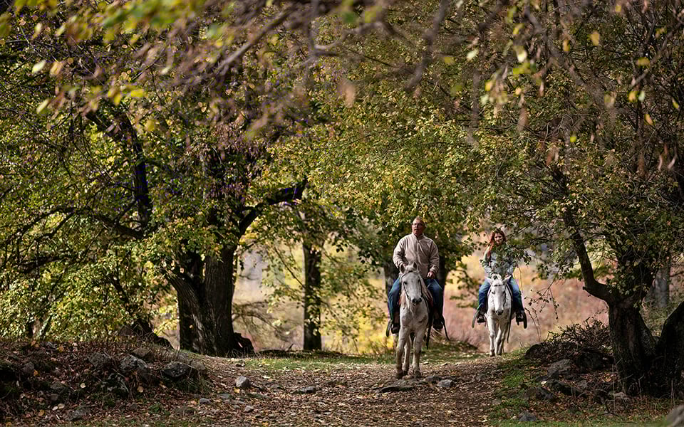 nymfaios-wild-renaissance-life-beside-bears-and-wolves10