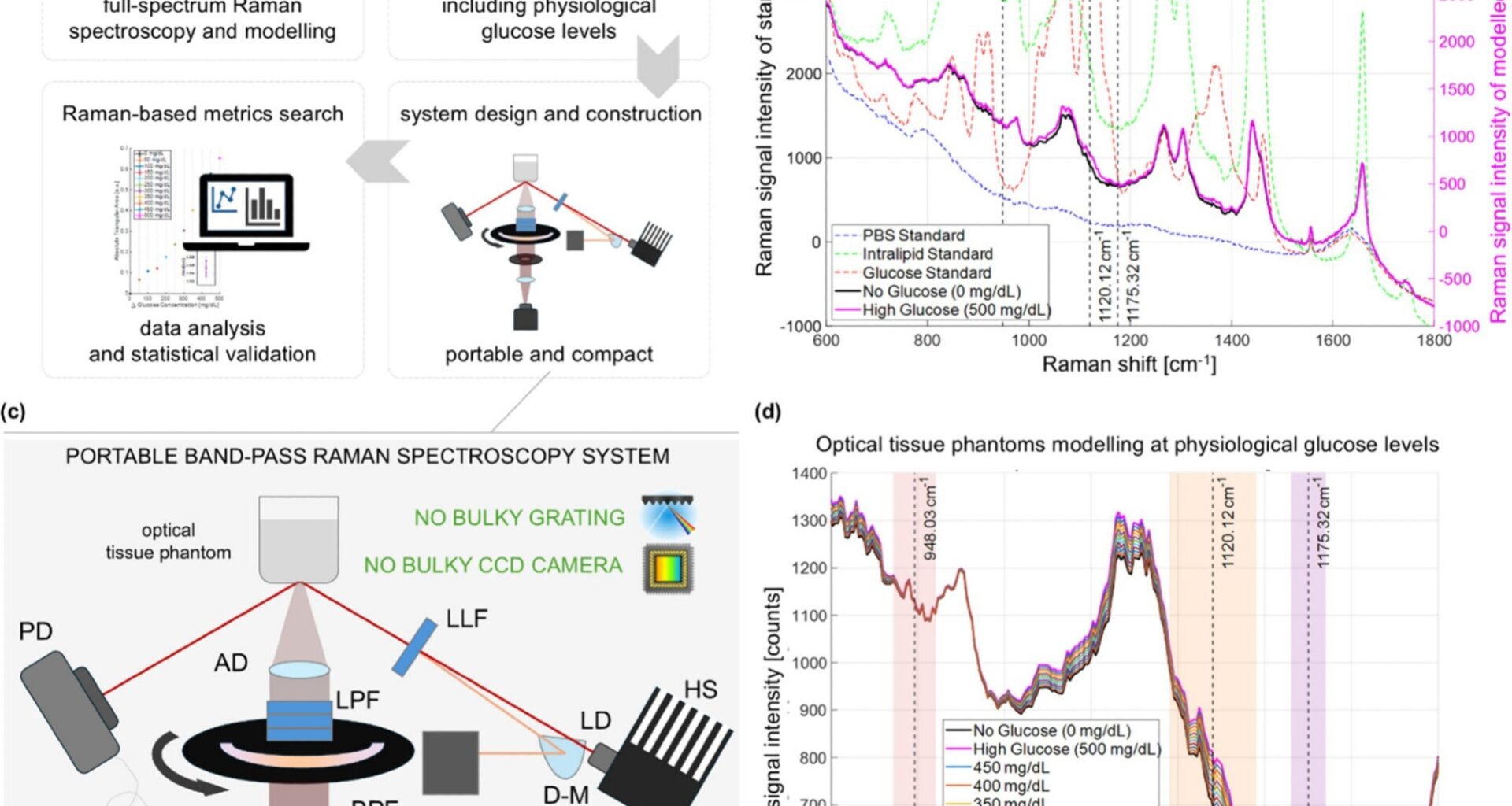 Pipeline for the development of compact BRS-based CGM. (a) Strategy development pipeline. (b) Measured full-spectrum Raman signal of individual components and modeled tissue phantom signals: PBS (blue line), 20% intralipid solution in water (green line); 20% glucose solution in water (red line); simulated no-glucose tissue phantom (black line); simulated high-glucose tissue phantom (pink line). (c) Scheme of the optical system for BRS. HS: heat sink; TEC: temperature control; D-M: D-shaped mirror; BB: beam blocker; LLF: laser line filter; AD: achromatic doublet; LPF: long-pass filter; BPF: band-pass filter; APD: amplified photodiode; PD: photodiode (d) Simulated Raman spectra around the Raman peak of glucose at 1125 cm–1 through 11 glucose levels. Shear areas indicate the chosen bands for BRS.