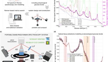 Pipeline for the development of compact BRS-based CGM. (a) Strategy development pipeline. (b) Measured full-spectrum Raman signal of individual components and modeled tissue phantom signals: PBS (blue line), 20% intralipid solution in water (green line); 20% glucose solution in water (red line); simulated no-glucose tissue phantom (black line); simulated high-glucose tissue phantom (pink line). (c) Scheme of the optical system for BRS. HS: heat sink; TEC: temperature control; D-M: D-shaped mirror; BB: beam blocker; LLF: laser line filter; AD: achromatic doublet; LPF: long-pass filter; BPF: band-pass filter; APD: amplified photodiode; PD: photodiode (d) Simulated Raman spectra around the Raman peak of glucose at 1125 cm–1 through 11 glucose levels. Shear areas indicate the chosen bands for BRS.