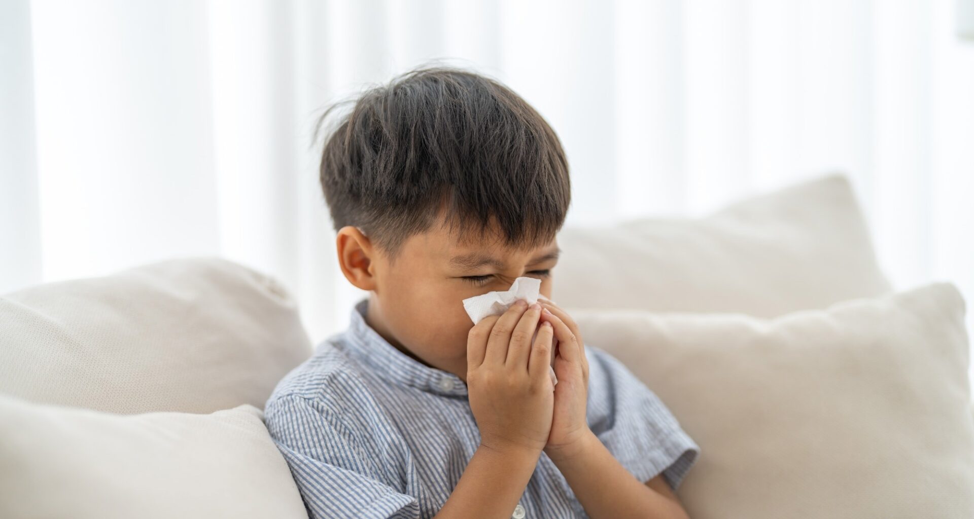 Study: Maternal allergy and neonatal RSV infection synergize via FcR-mediated allergen uptake to promote the development of asthma in early life. Image Credit: Art_Photo  / Shutterstock