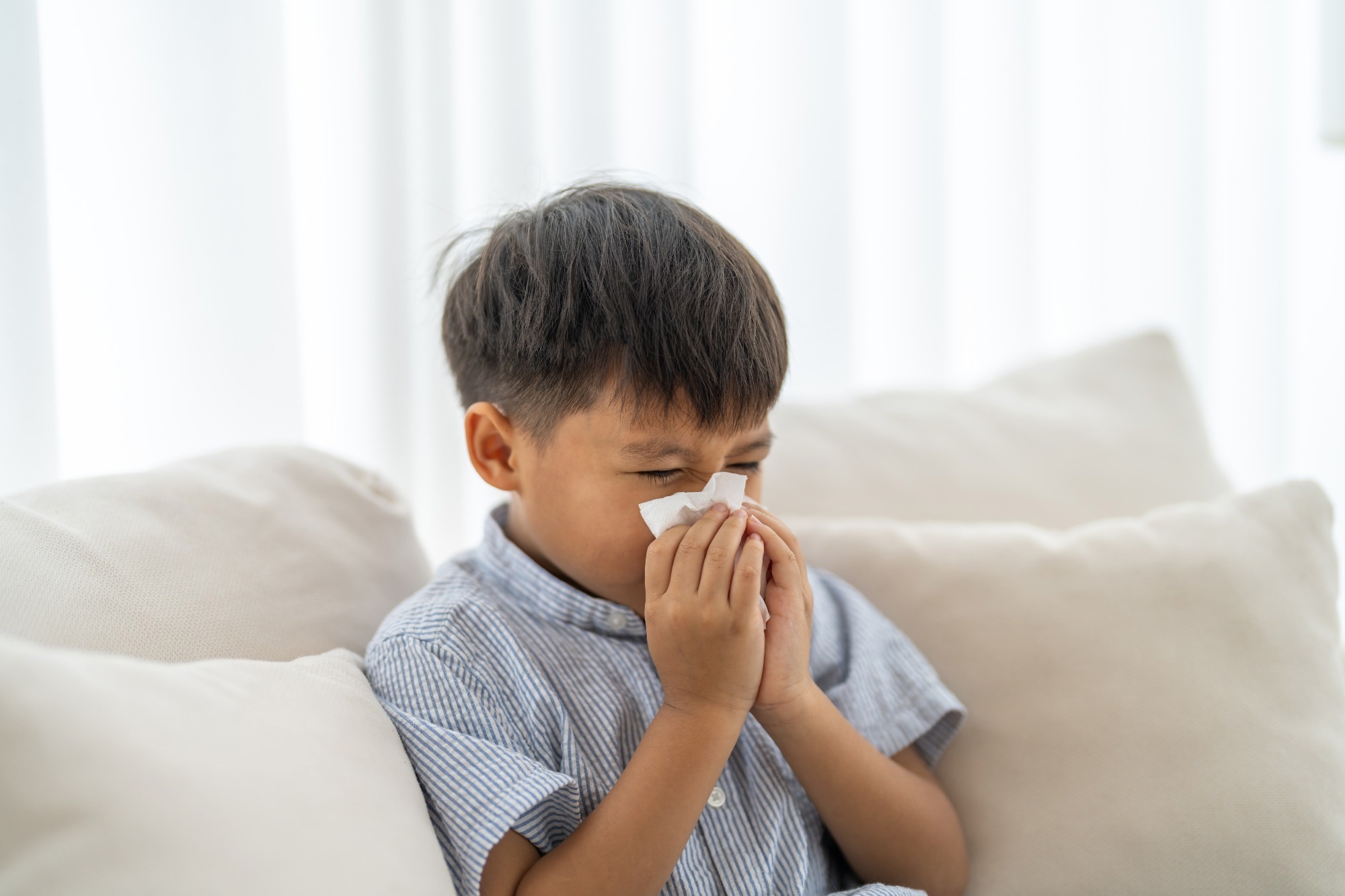 Study: Maternal allergy and neonatal RSV infection synergize via FcR-mediated allergen uptake to promote the development of asthma in early life. Image Credit: Art_Photo / Shutterstock