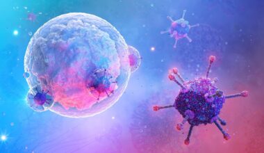 Study: Dietary restriction reprograms CD8+ T cell fate to enhance anti-tumour immunity and immunotherapy responses. Image Credit: Corona Borealis Studio / Shutterstock