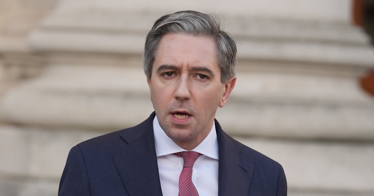 Simon Harris claims ‘significant number’ in emergency accommodation ‘don’t have housing right’ – The Irish Times