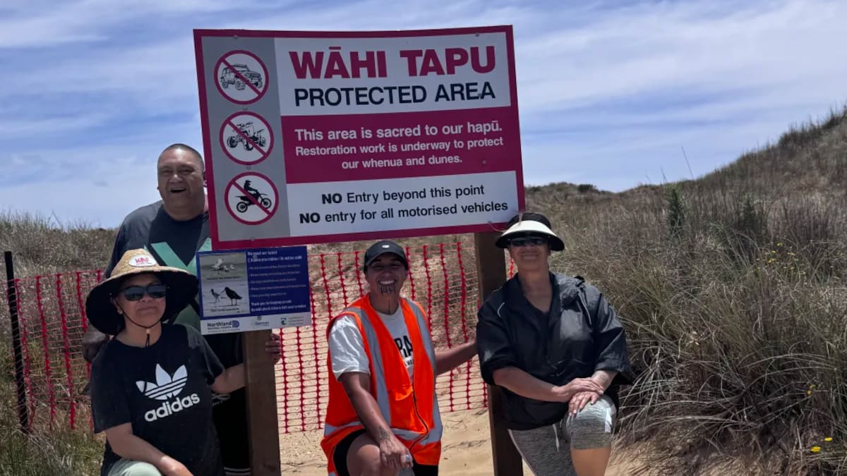 ‘Devastating in all ways’: Sand dune ecosystems on Tokerau Beach being destroyed by vehicles