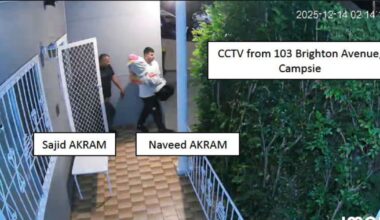 Bondi gunmen had ‘tennis ball bomb’, made Islamic State-inspired video, police allege – The Irish Times