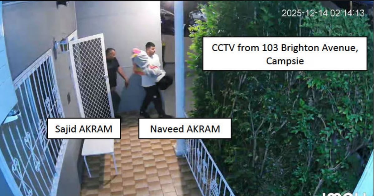 Bondi gunmen had ‘tennis ball bomb’, made Islamic State-inspired video, police allege – The Irish Times