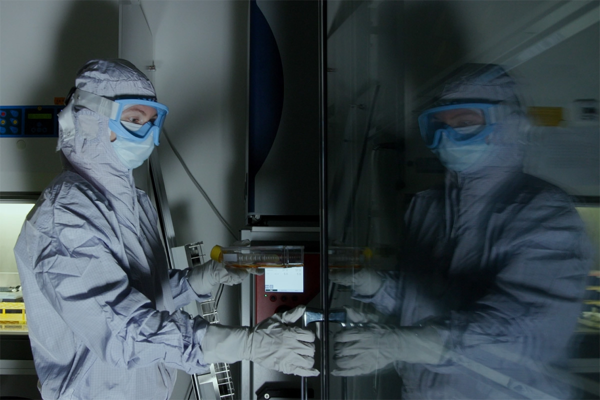 Muscle regeneration shows promise in SUI treatment