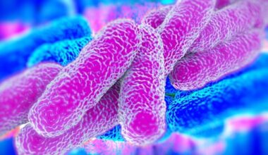 Disinfectant used in water treatment may impact the incidence of Legionnaire's disease