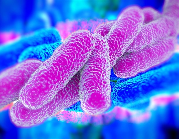 Disinfectant used in water treatment may impact the incidence of Legionnaire's disease