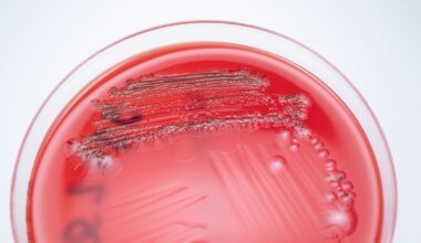 Researchers are unlocking the healing powers of... poop