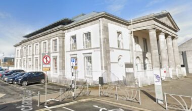 Limerick woman who beat and robbed man (77) before stealing his car jailed for four years – The Irish Times