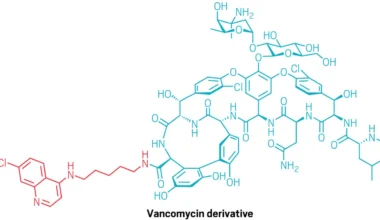 Quinoline tag helps vancomycin breach gram-negative defenses