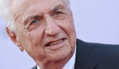Frank Gehry, legendary Canadian-American architect, dies aged 96 – The Irish Times