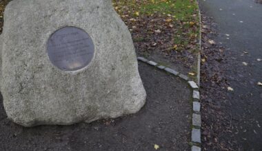 Councillors could not have renamed Herzog Park due to legislative delay, meeting hears – The Irish Times