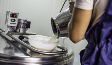 Tirlán-backed Kilkenny Cheese hits €196.5m revenue in ‘milestone’ first year of operations – The Irish Times