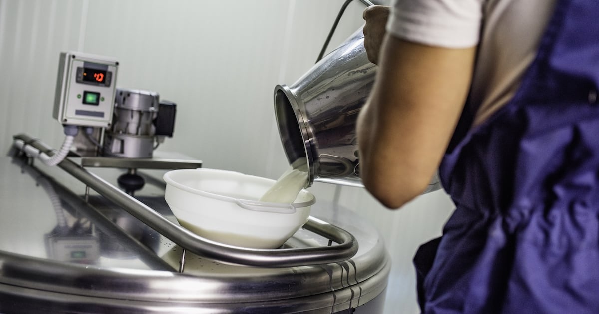 Tirlán-backed Kilkenny Cheese hits €196.5m revenue in ‘milestone’ first year of operations – The Irish Times