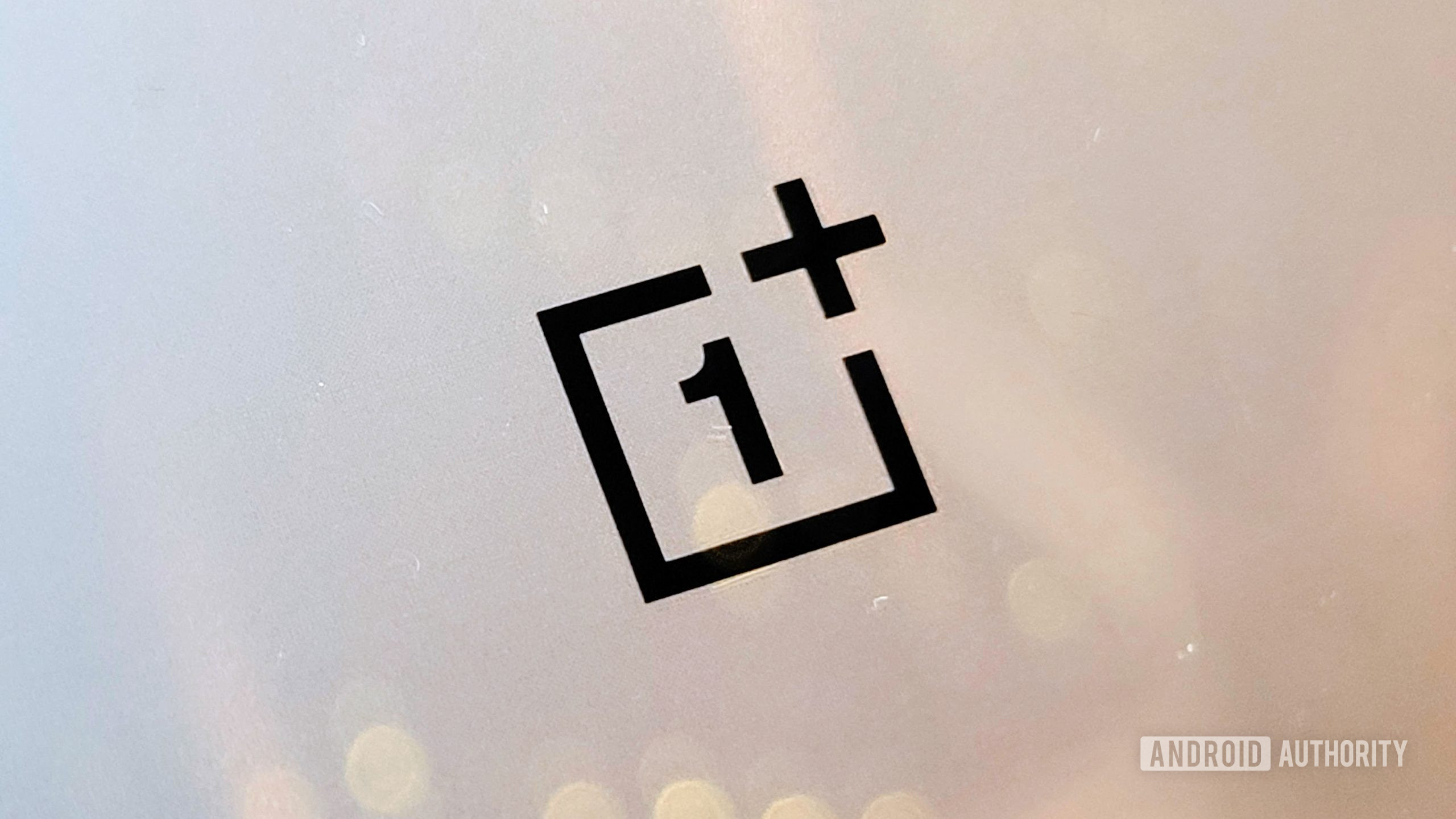 OnePlus Logo on OnePlus 9 Pro OnePlus Logo on OnePlus 9 Pro