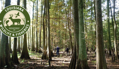 LDWF to Close Oyster Harvest in Portions of Drum Bay and Shell Point Reef in St. Bernard Parish