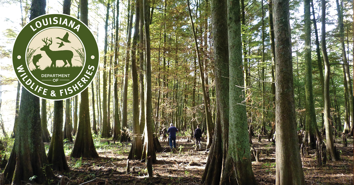LDWF to Close Oyster Harvest in Portions of Drum Bay and Shell Point Reef in St. Bernard Parish