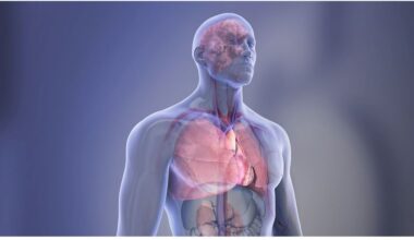 Top heart and brain research for 2025 found new ways to treat old problems