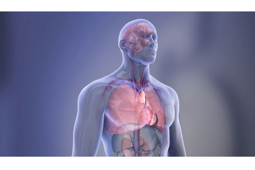 Top heart and brain research for 2025 found new ways to treat old problems