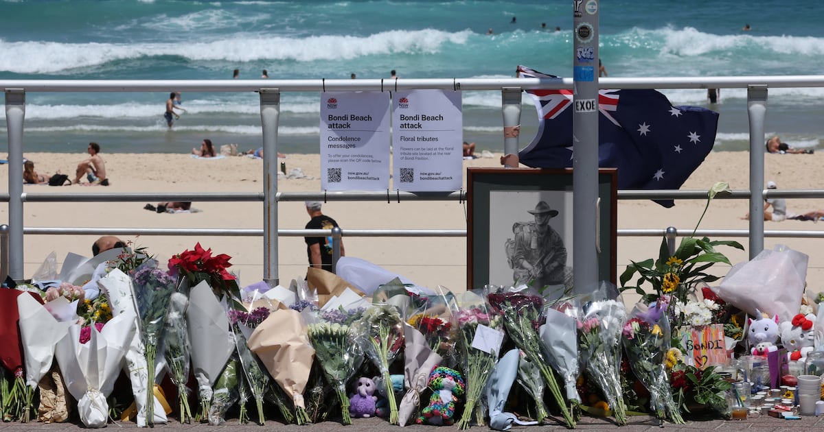Naveed Akram charged with 59 offences after 15 people killed at Hanukkah celebration – The Irish Times