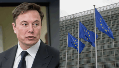 MCGUIRK: Why Musk should tell the EU to take a hike