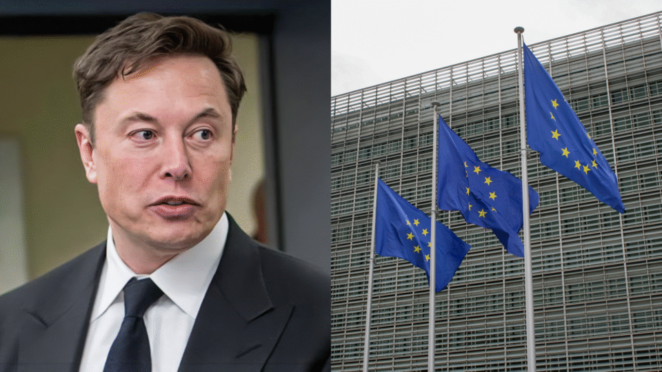 MCGUIRK: Why Musk should tell the EU to take a hike