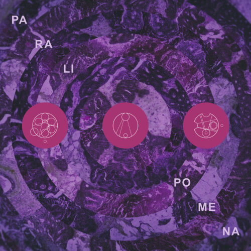 Pillars of Cacophony - Paralipomena [Things You Might Have Missed 2025]