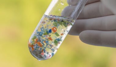 Microplastics Can Spread Dangerous Pathogens, Scientists Warn : ScienceAlert