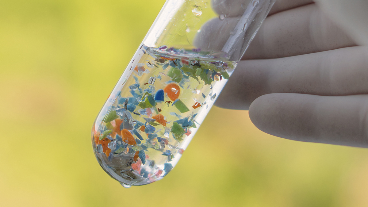 Microplastics Can Spread Dangerous Pathogens, Scientists Warn : ScienceAlert