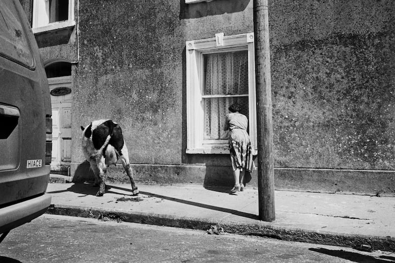 Belmullet Fair, Co Mayo, 1983.