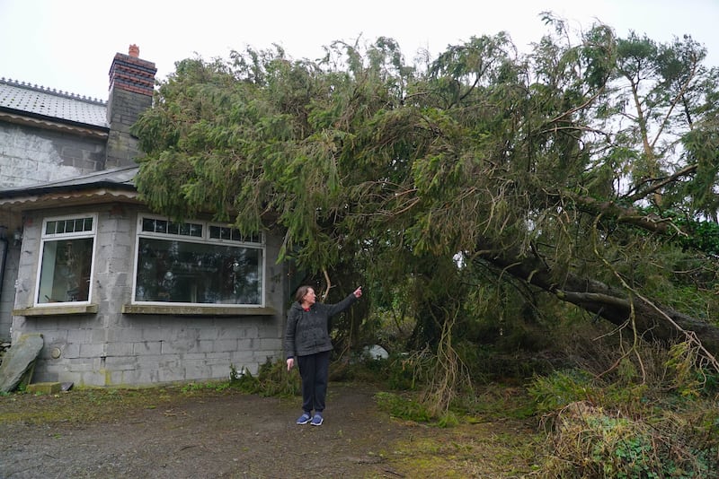 Storm Éowyn wreaked havoc in Ireland in January 2025. Photograph: Enda O'Dowd