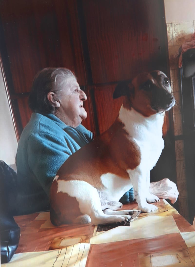 Chrissie Treacy with her dog Bradley. Photograph: Collins Courts