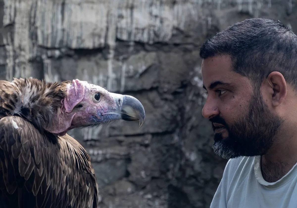 Shiv Kapila with a lappet-faced vulture